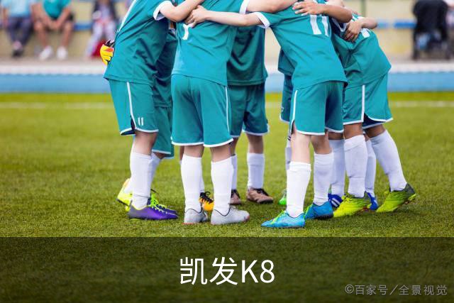 凯发K8公司简介